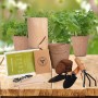 Juego de jardineras personalizadas para jardín de hierbas aromáticas casero