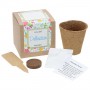 Vaso de pulpa degradable Jardinería infantil Plantación