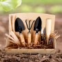 Kit de flores para jardín Plantas para el jardín de casa