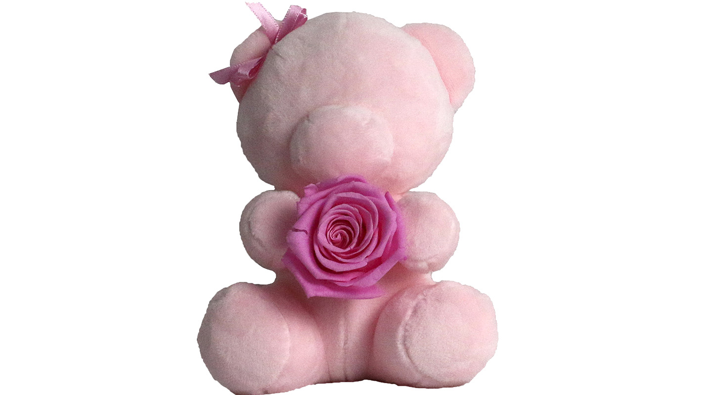 Regalos personalizados de San Valentín proveedor de osos de peluche rosa baratos en EE. UU.